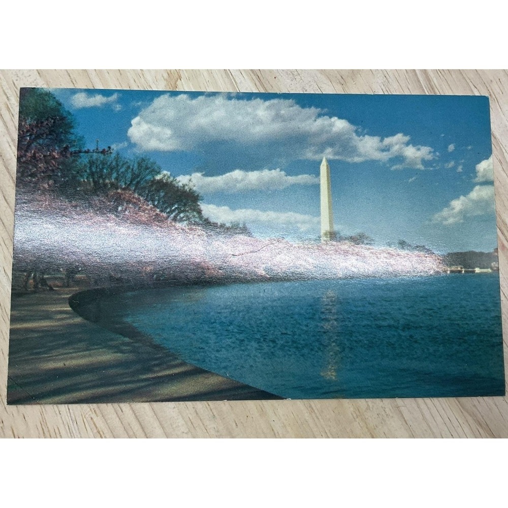 L.B. Prince Co. Postcard Unisex OS Blue Washington Monument Cherry Blossoms
